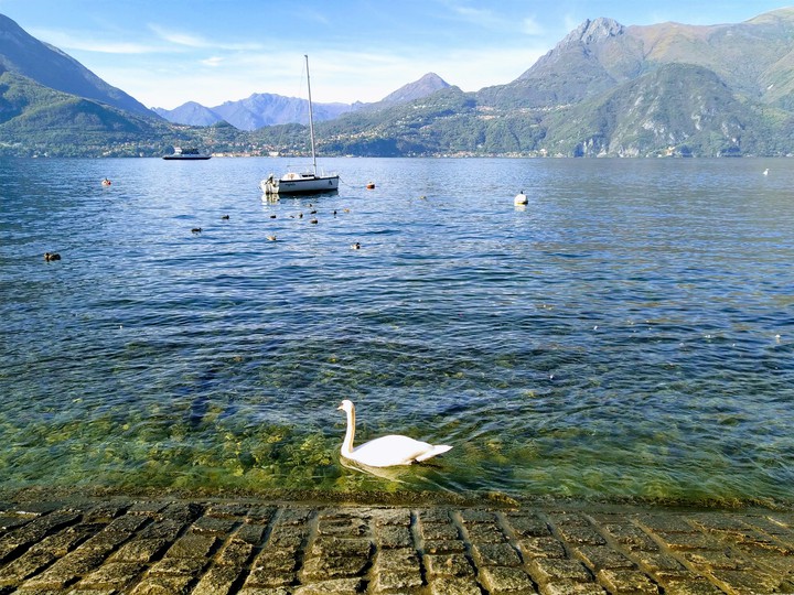Lake Side