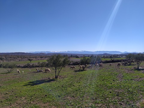 Nature