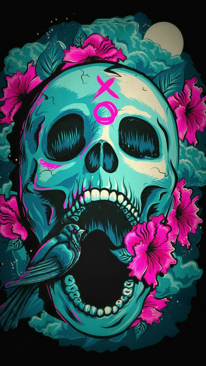 xo