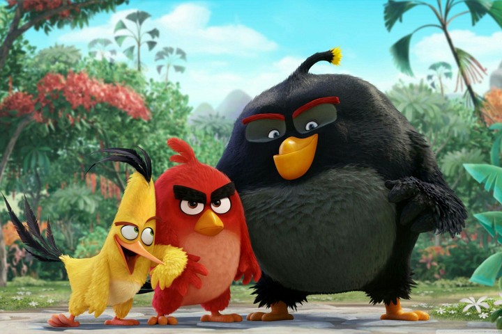 Angry birds