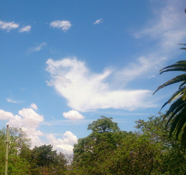 mother nature
