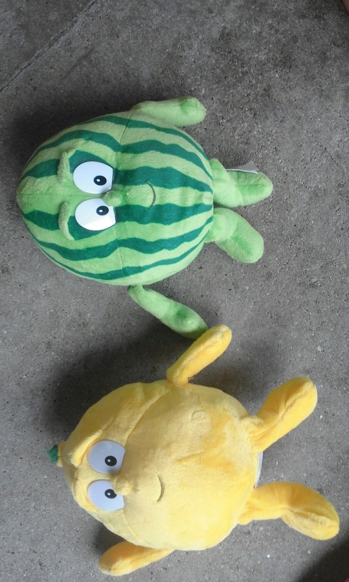 animals
