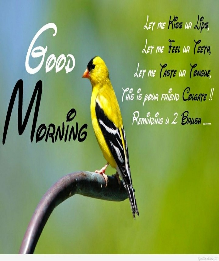 good morning