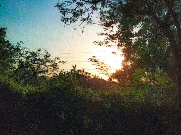 Nature