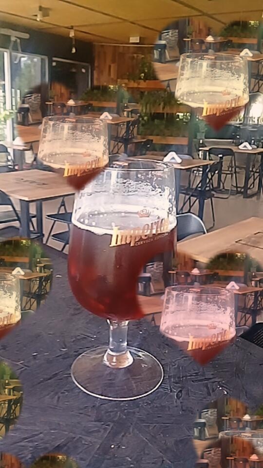 cerveza artesanal ???