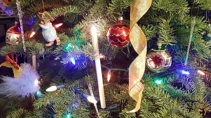 Our Tree