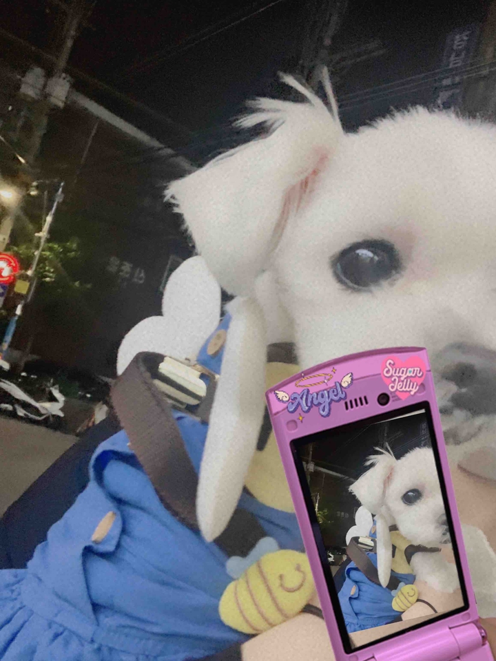 외출