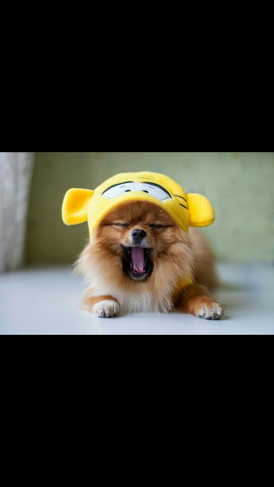 sweet