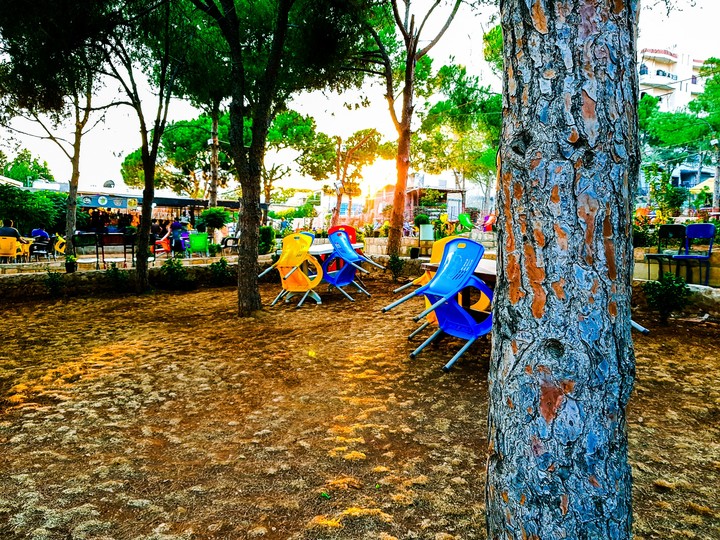 A public park in Syria