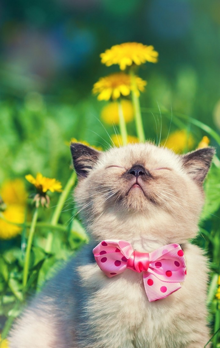 Cute