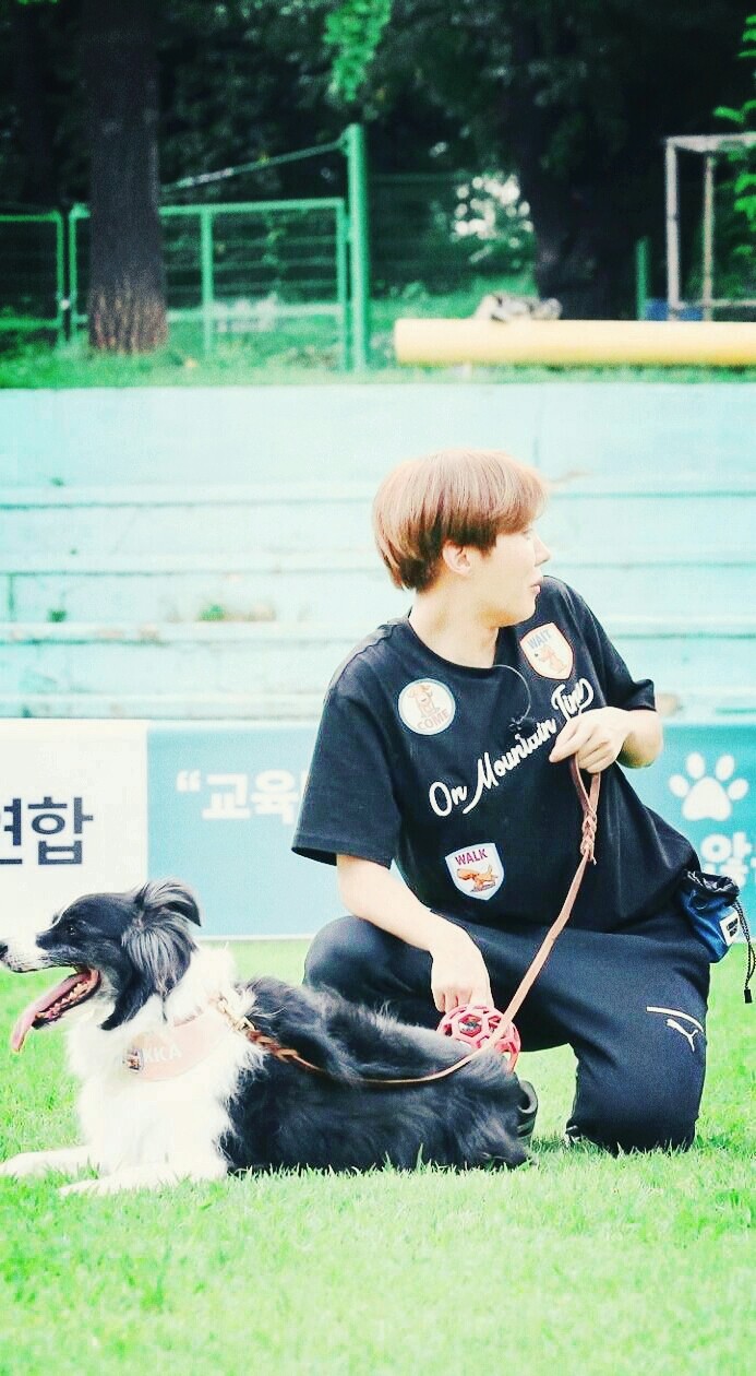 btsjhope