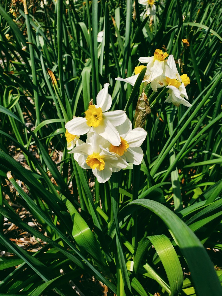 Spring is Here!!