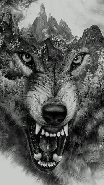 wolf