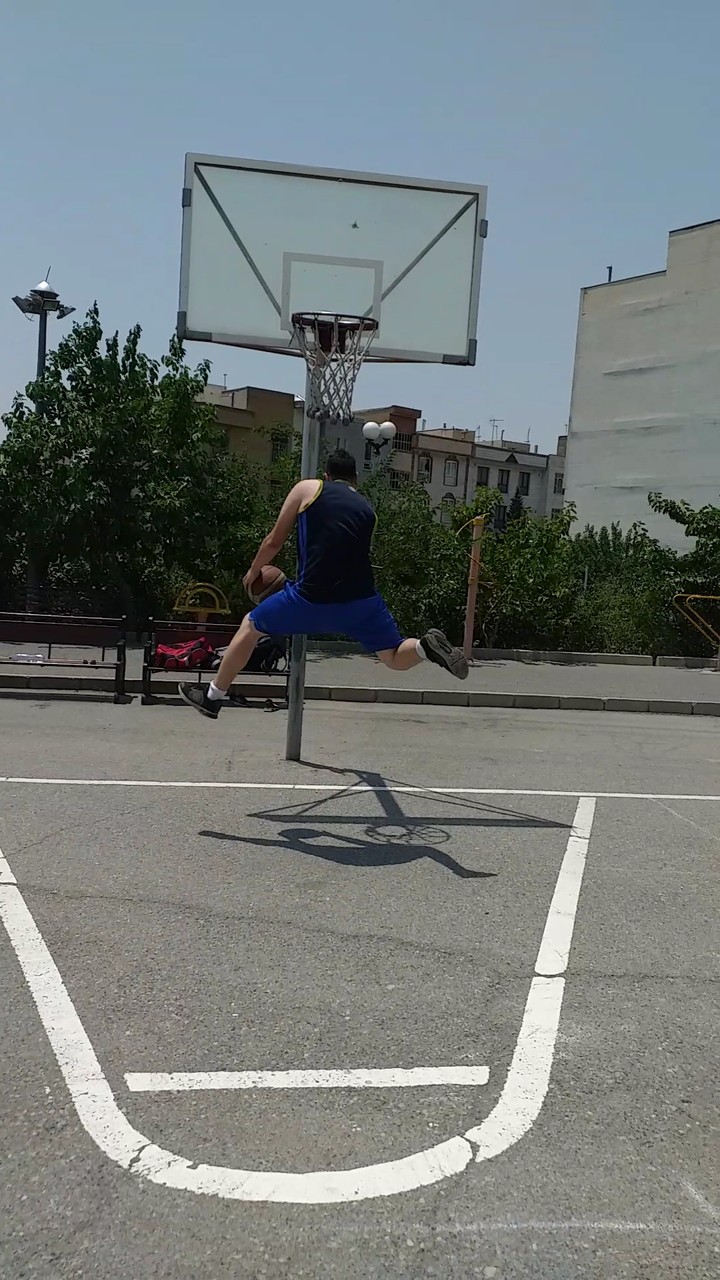 fly
