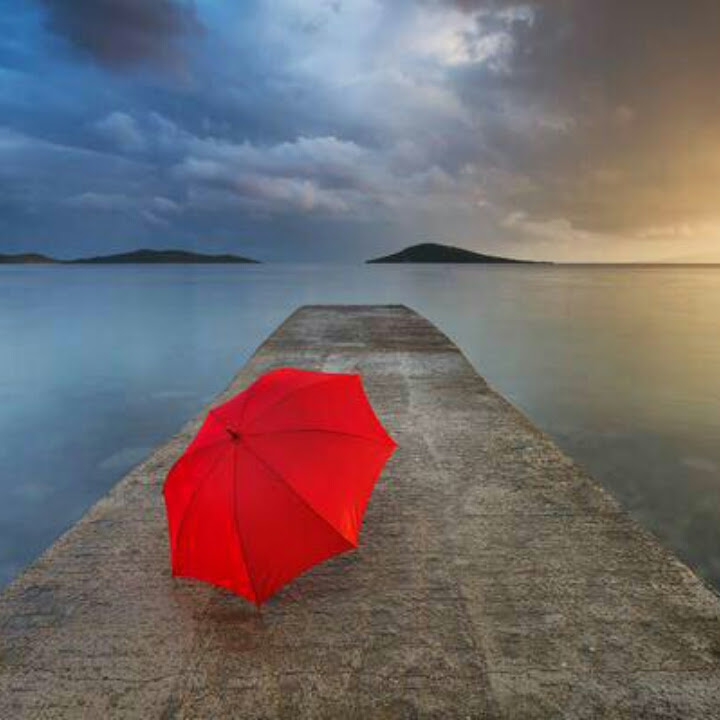 umbrella