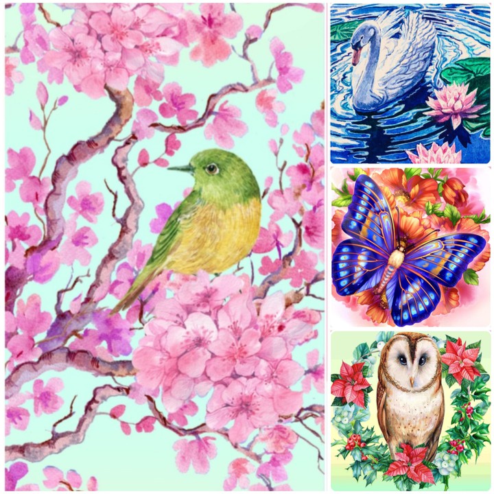 Schöne Tiercollage