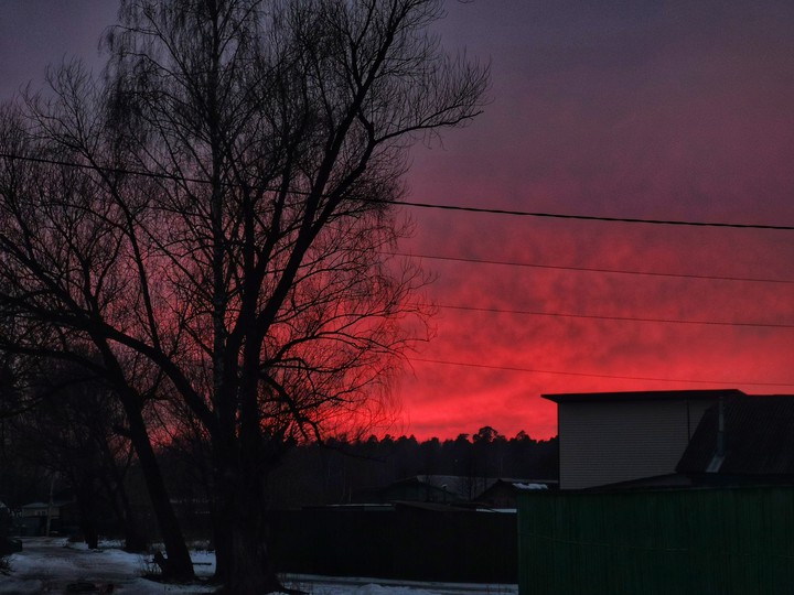 Red evening