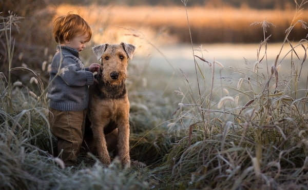 friends