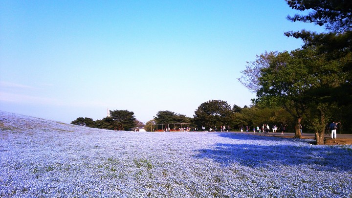 blue