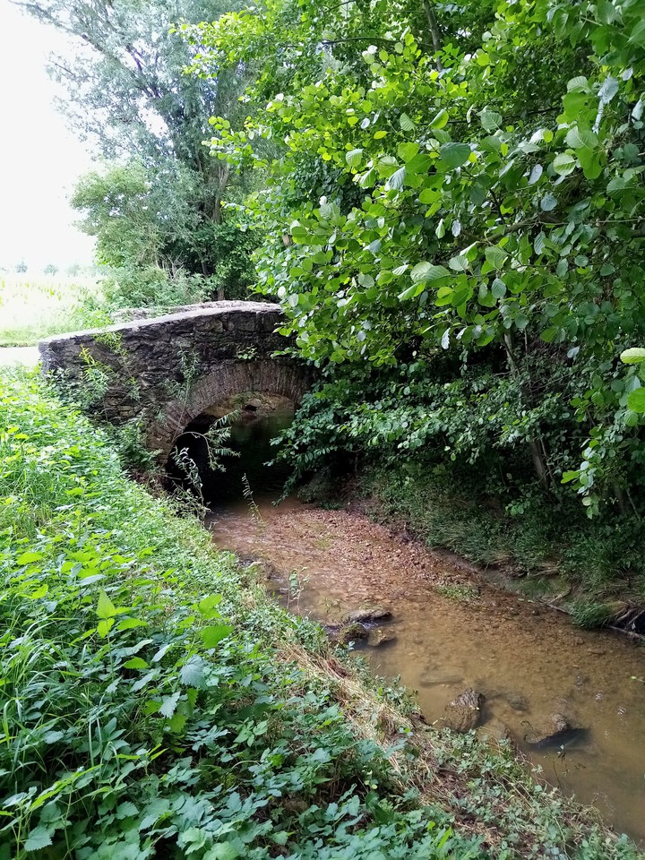 Petit pont romain