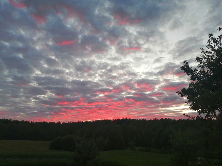 Sky