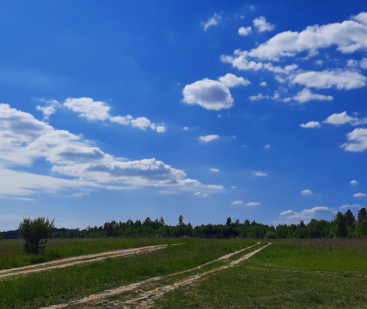 summersky