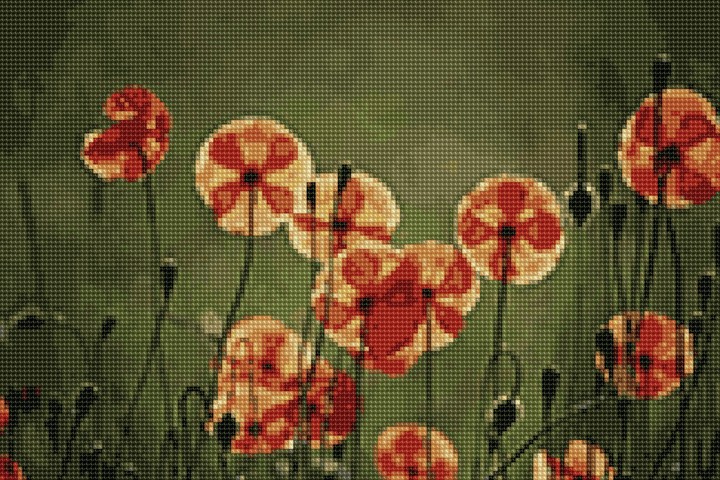 think spring