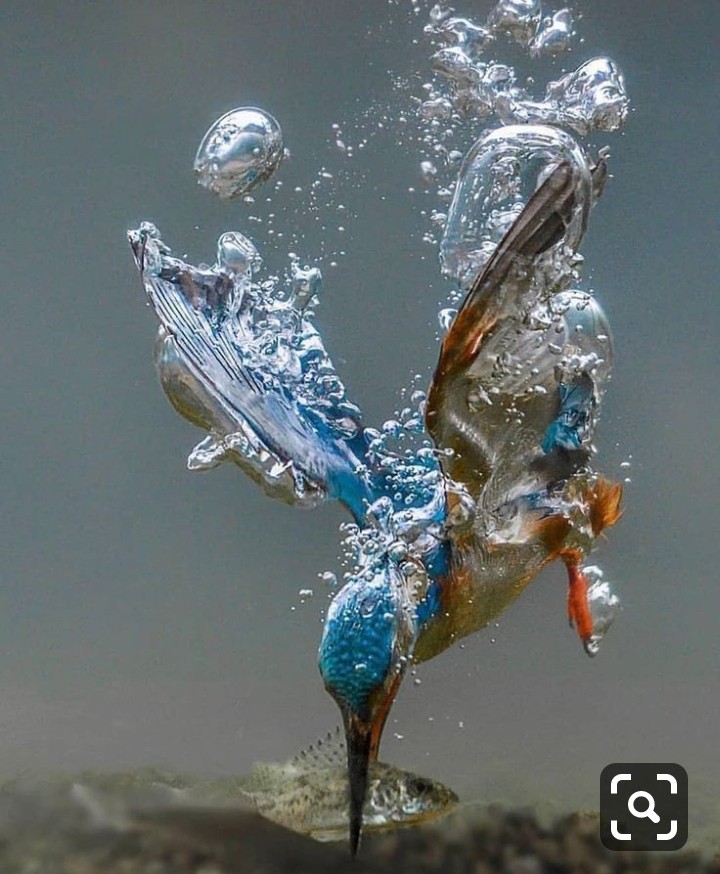 water