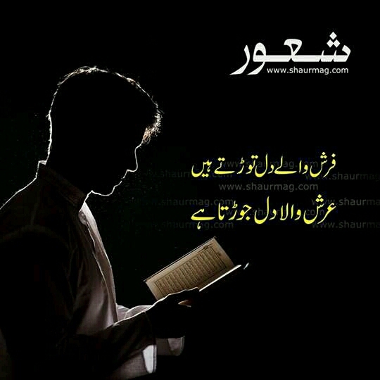 Shaur