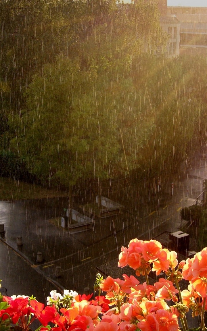 Everything is about nature.