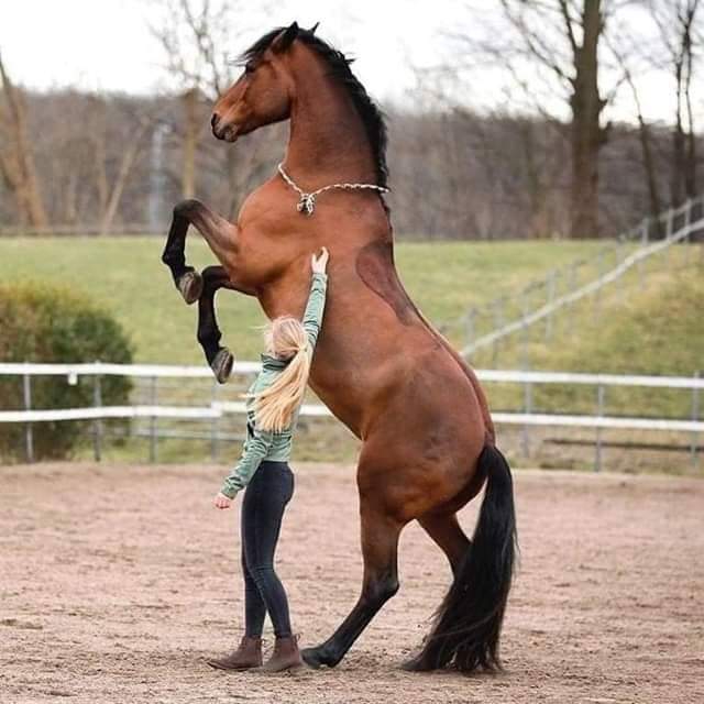 ♥♥