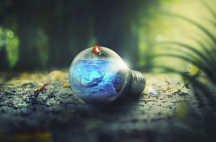 Fantasy....