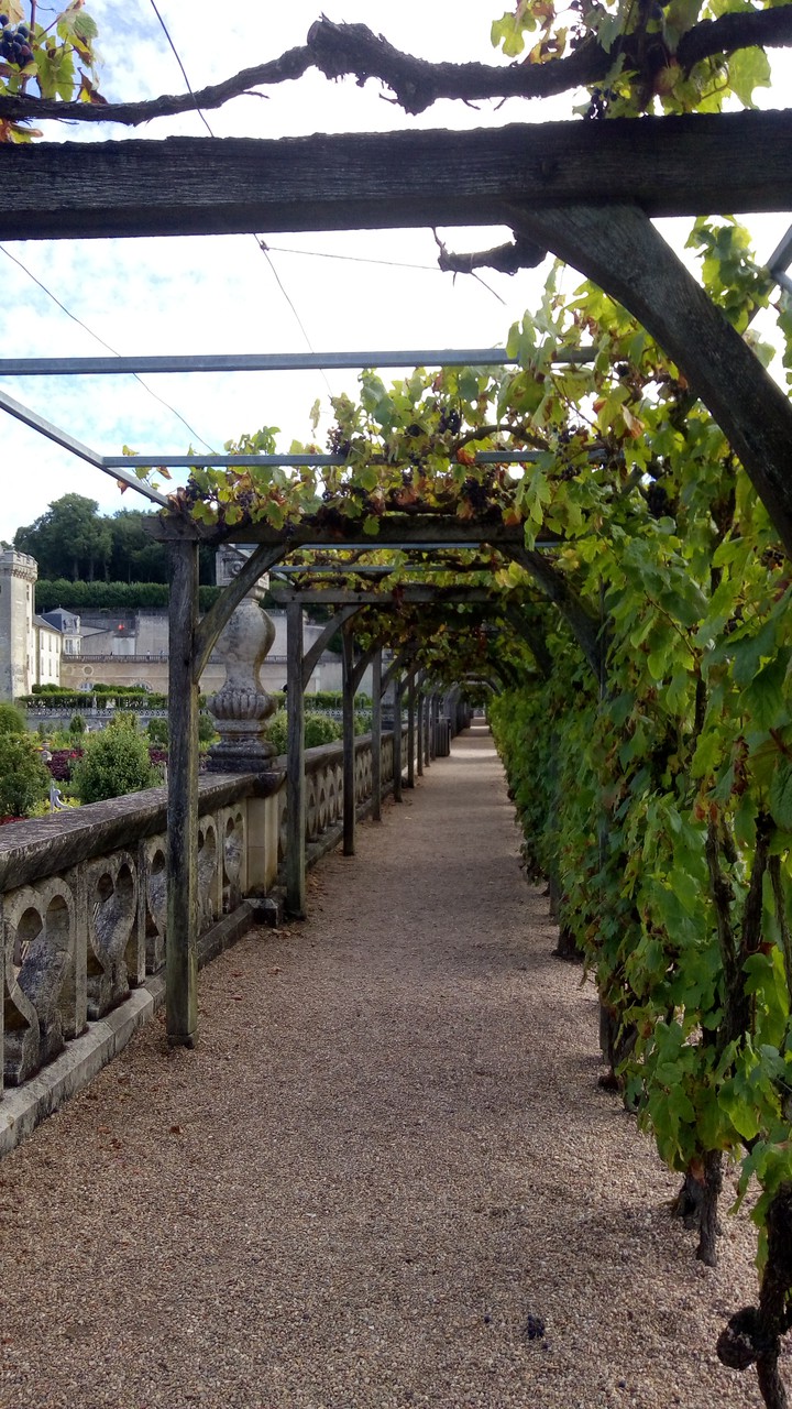 nature garden