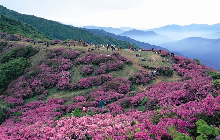 풍경