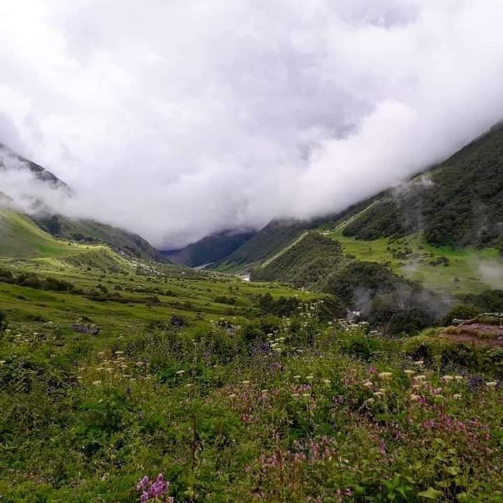 nature