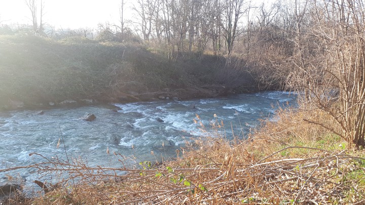 Rivière