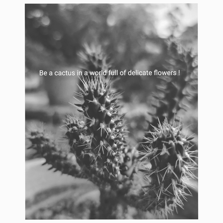 Cactus
