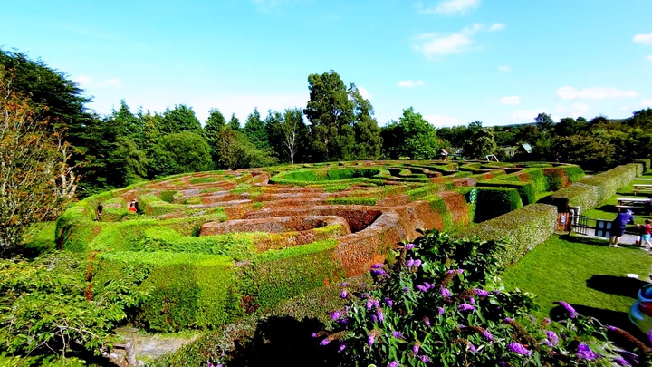 Maze