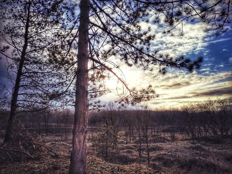 Twilight
