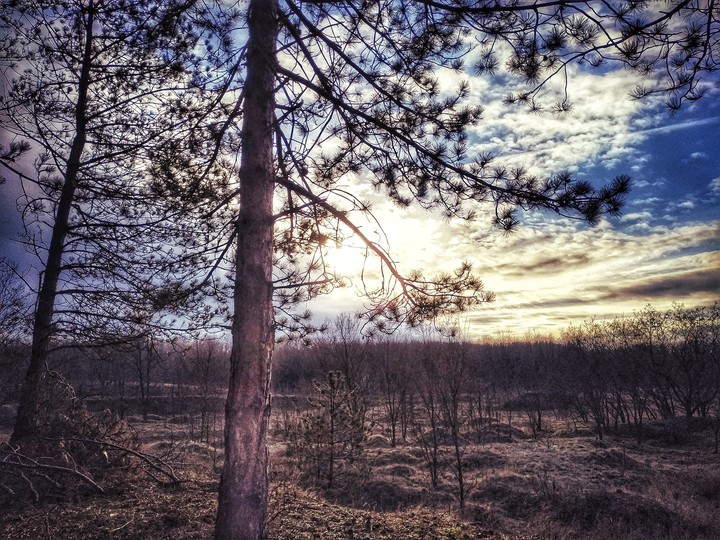 Twilight