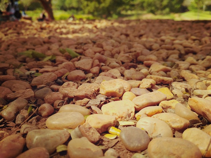 over a pebble path