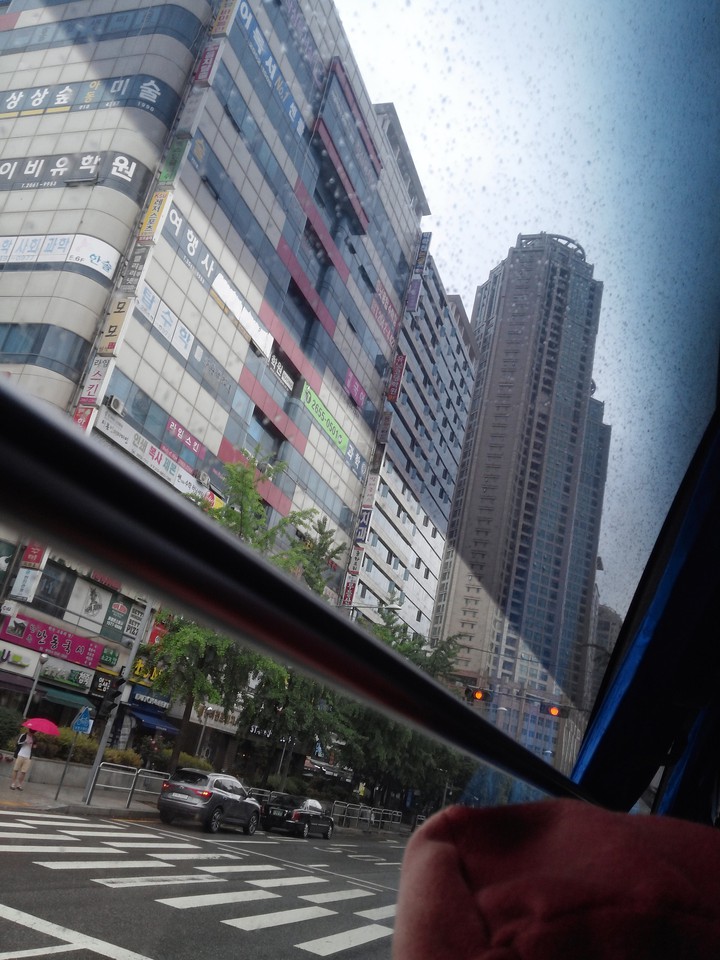 비오는 날의 풍경