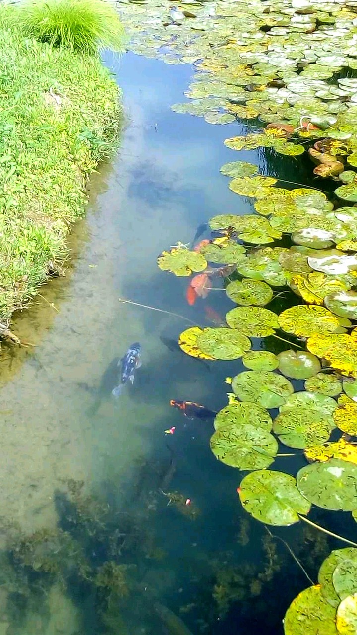 #charming water