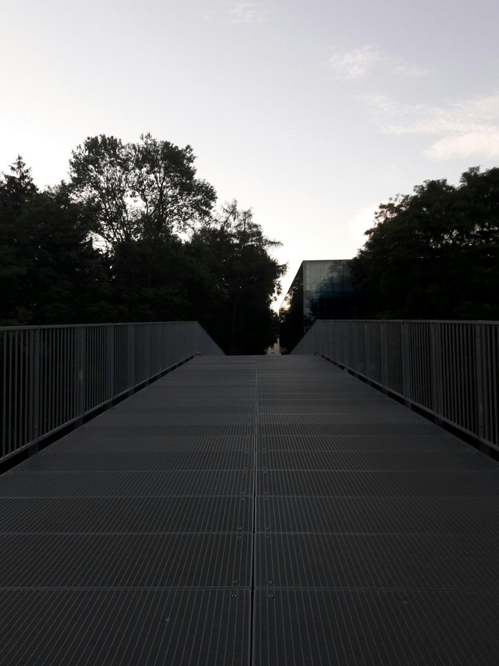 Evening walk