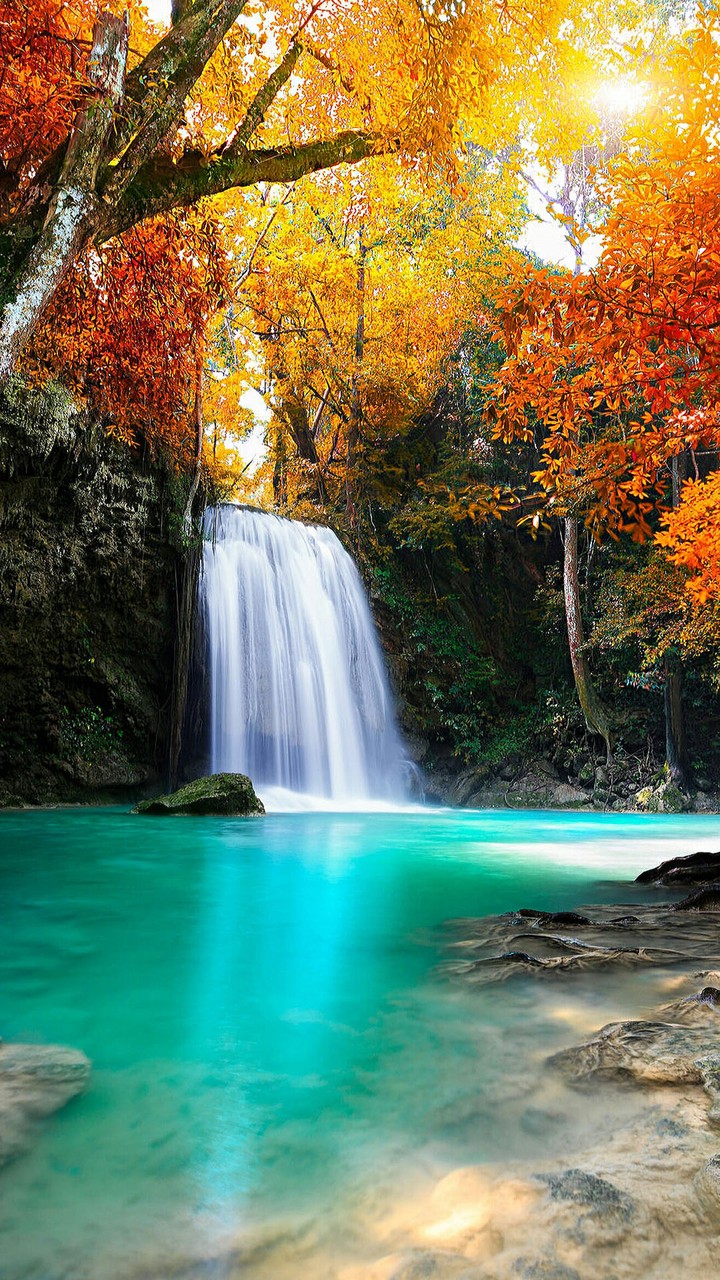 waterfall, branch háttérképek