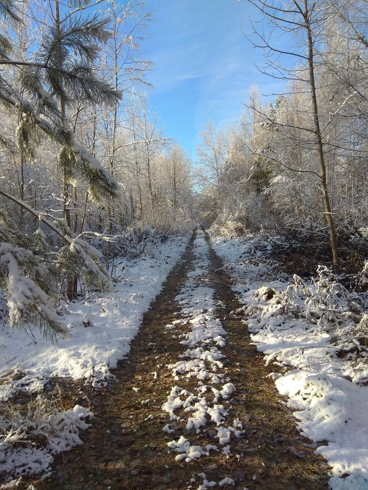 Нежданно