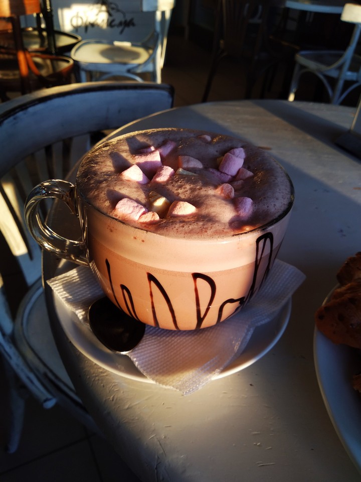 cup of cacao