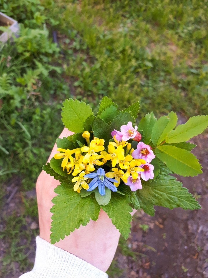 Garden flowers