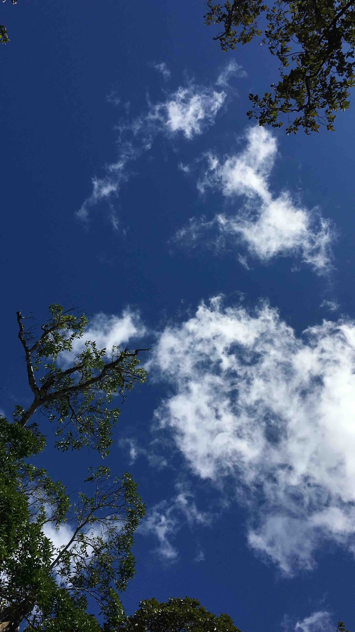 heaven-sky-cielo.