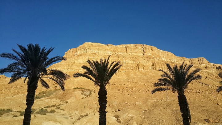 Dead Sea Israel